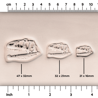 T - Rex Dinosaur Skull Fossil Stamp - Photo Textured - Style 1 - Ceramind® Tools