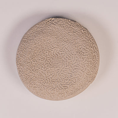 Texture Ball [20mm] | Coral Texture - Ceramind® Tools