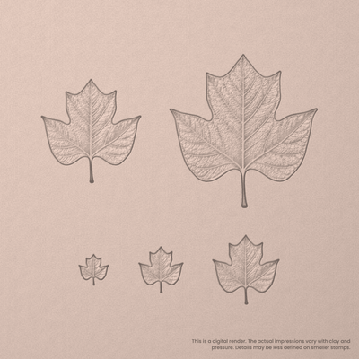 Tulip Tree Leaf Stamps - Photo Textured - Ceramind® Tools