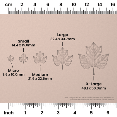 Tulip Tree Leaf Stamps - Photo Textured - Ceramind® Tools