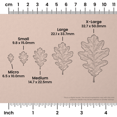 White Oak Leaf Stamps - Photo Textured - Ceramind® Tools
