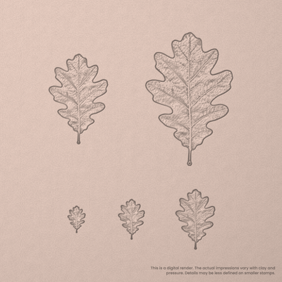 White Oak Leaf Stamps - Photo Textured - Ceramind® Tools